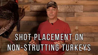 Shot Placement On Turkeys With A Bow: Non-Strutting Turkeys | Recover Your Turkeys