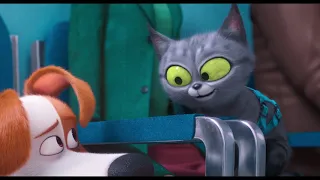 The Secret Life of Pets 2 | official trailer (2019)