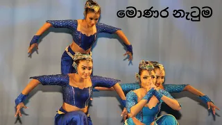 මොණර නැටුම​  | Peacock Dance | ලෝකයේ ලස්සන බලමු | සිංහල #srilankandance #srilanka #peacockdance