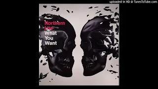 Northern Lite - What You Want [Extended Version]