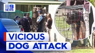 Man fights for life after being attacked by two dogs in Sydney | 9 News Australia