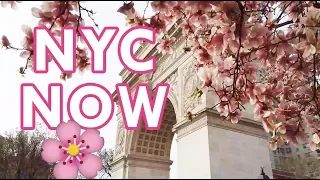 April NYC Guide: 11 Best Things To Do