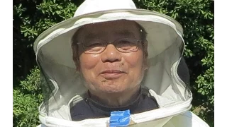 Мёд Japan. Японское пчеловодство.Дикий мёд.