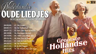 Muziek Voor Senioren 📻 Nostalgische Liedjes Van Nederlandse Muziek Uit De Jaren 60 En 70 En 80