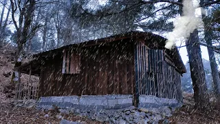 Hiding in an Abandoned Log Cabin in the Heavy Rain / Hot Night in a Log Cabin in the Extreme Rain