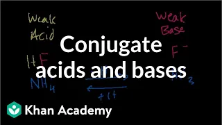 Conjugate acids and bases