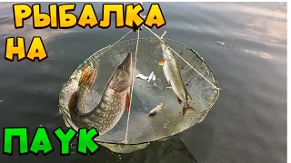 Рыбалка на паук (подъемник￼) в малой реке