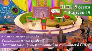 ШДК: «У меня заложен нос!» Успокоительные средства. Приюты для животных в США - Доктор Комаровский