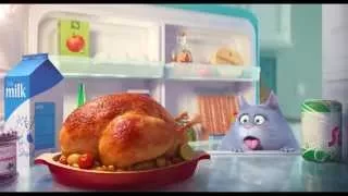 The Secret Life of Pets Official Trailer2016 Louis C K  Animated Movie HD