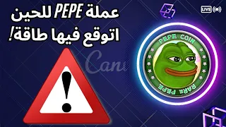 pepe مالها حس هال فترة🙄