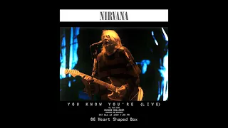 06 Heart Shaped Box - Nirvana Live @ Aragon Ballroom, Chicago 10 23, 1993