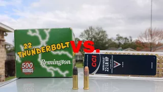 TRUTH about CCI Mini Mag vs Remington Thunderbolts 22 LR Ammo