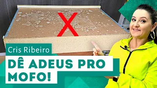 Como remover mofo do seu armário com Cris Ribeiro