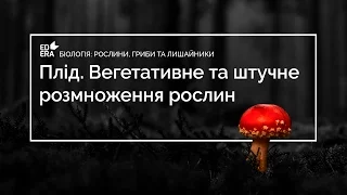 Плiд. Вегетативне та штучне розмноження рослин (Способи поширення плодів). Відео 1 3 3 3