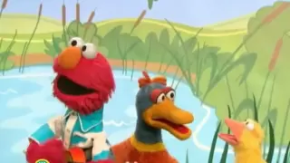 Sesame Street: Elmo's Ducks