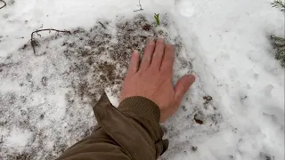 Первый день без Тайсона😢 Пришли с Джиной на могилку. Встречи с собаками