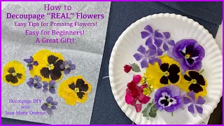 How to Decoupage “REAL” Pansies onto Rocks | Easy Tips for Pressing Flowers | Great Gift