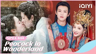 🦚【Special】Peacock in Wonderland: Zhou Junwei and Bunny Zhang's Twin Generations Love💗| iQIYI Romance