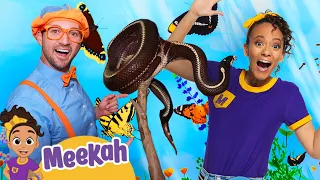 Blippi and Meekah's Science Scavenger Hunt | Educational Videos for Kids | Kids TV