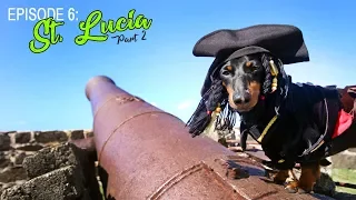 Episode 6: Crusoe's Trip to St Lucia (Part 2)