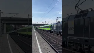 Flixtrain (Taurus)nach Köln Hauptbahnhof in Hamburg mit Lichtgruß und Makro