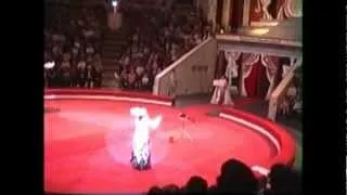 Moscow Nikulin circus Magic Show Natalia and Alexey Panarini