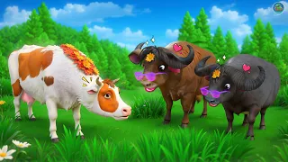 The Cow & Buffalo's Farmyard Love Story | Farm Animals | Wild Animals | Animal Fights Compilation