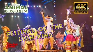 Festival Of The Lion King in 4K - Walt Disney World Animal Kingdom - Dec 2023