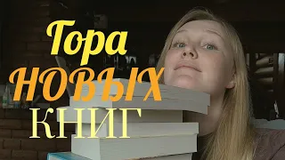 КНИЖНЫЕ ПОКУПКИ за 2 месяца