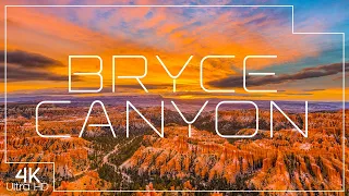 Bryce Canyon National Park | 4K Ambient Nature Video