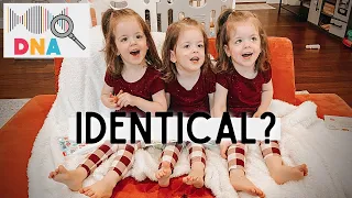 Are the TRIPLETS actually IDENTICAL?! DNA results are in!