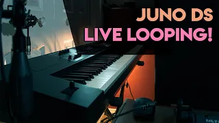 Roland Juno DS - Synthwave Looper Jam