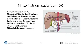 Schüßler Salz NR10 Natrium sulfuricum D6