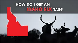 How Do I Get an Elk Tag in Idaho? | MASTERING THE DRAW