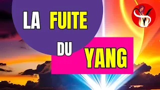 FLAMME JUMELLE | Comprendre la fuite du yang #fj #flammejumelle #couplesacré