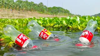 Plastic Bottles Fish Trap | Traditional Catch Fish With Hook & Plastic Bottle Fish Trap