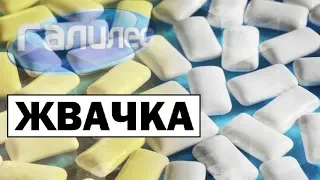 Галилео | Жвачка 👄 [Chewing gum]