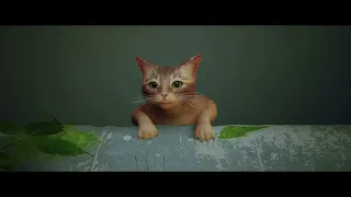 cat falls to its Death