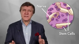 Fixing Nerve Damage with Stem Cells. Plastic Surgery Hot Topics with Rod J. Rohrich, MD