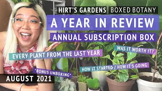 UPDATES ON EVERY PLANT I GOT LAST YEAR: Annual houseplant subscription box review + bonus unboxing!