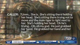 Topeka Zoo reveals new details about the tiger attack