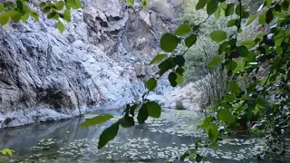 Looking for Harding falls - Cleveland national forest