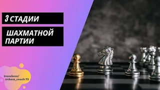 Урок №2 3 Стадии шахматной партии