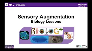 Sensory Augmentation: A 'Tango' with Advanced Wearables and Microservices, John-Ross Rizzo, MD