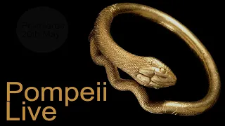 Pompeii Live from the British Museum