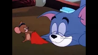 Tom and Jerry - Mucho Mouse