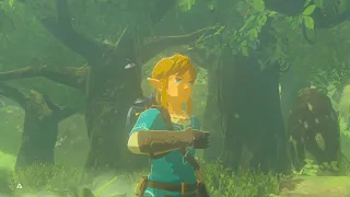 Link Pulls Nothing From The Master Sword Pedestal