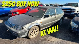 IAA Walk Around 2-4-23 + $250 BUY NOW Honda Civic DX!!