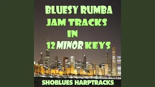 E Minor Rumba Blues