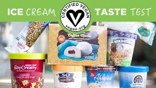 The Ultimate Vegan Ice Cream Face-Off (And Bee 🐝 Attack!)